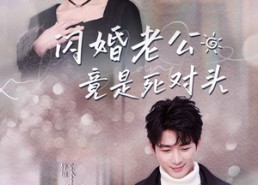 【闪婚老公竟是死对头（长篇）】40集免费短剧在线轻松看