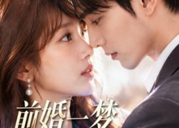 【前婚一梦，再遇风华】98集精彩短剧免费在线追看