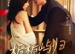 【栀栀屿归】80集短剧在线高清免费观