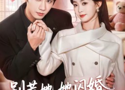 【别惹她，她闪婚的老公是权爷】70集短剧全集在线观享