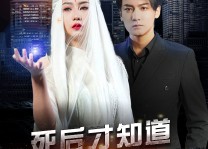 【死后才知道老婆是大佬】87集短剧在线免费播放