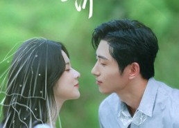 【非婚不可】65集免费短剧在线细看