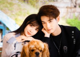 【依旧失控】78集全网短剧免费高清观看