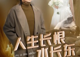【人生长恨水长东】47集短剧在线免费观看
