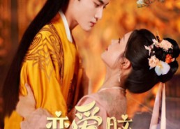 【恋爱脑后宫求生指南】78集短剧在线全集赏视