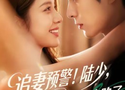 【追妻预警！陆少，你的闪婚妻子又跑路了】102集短剧免费全集在线赏