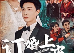 【订婚上风波】49集免费短剧在线完整看