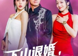 【下山退婚拯救我的未婚妻】80集短剧在线高清直看