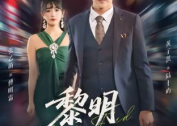 【黎明出逃】80集短剧高清全集在线播放