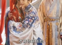 【绣球招了个状元郎】60集短剧免费全集在线赏