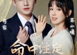 【命中注定遇见你】96集免费短剧全集乐看