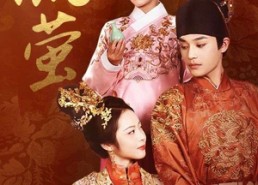 【流萤】60集短剧免费无广告在线看