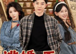 【逃婚，不，是岳父们抢疯了】80集短剧在线免费观看全集