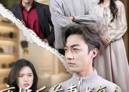 【离婚后前妻求复合，我绝不回头】40集短剧完整版在线播放