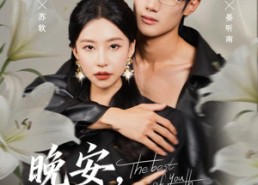 【晚安，戒不掉的你】68集短剧免费全集在线观影