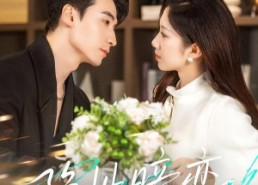 【隐性暗恋】100集短剧免费在线全集享