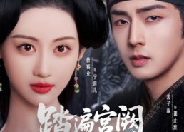 【踏遍宫阙不思君】75集短剧在线完整观看