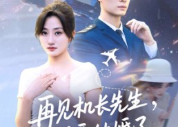 【再见机长先生我要结婚了】56集短剧在线免费畅看
