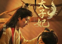 【命定太子妃】63集高清短剧在线播放