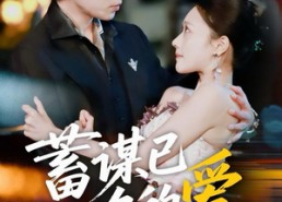 【蓄谋已久的爱】64集短剧全集在线免费观影