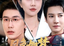 【月色如梦你似风】63集短剧免费在线观赏