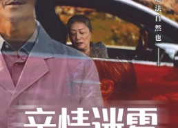 【亲情迷雾】30集短剧全集资源畅快赏