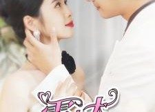 【霍太太你马甲又掉了】90集在线短剧免费观看