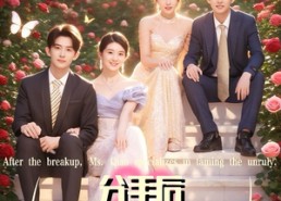 【分手后乔小姐专治不服】51集短剧免费在线看全集