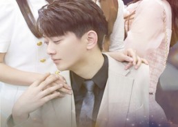 【粥暖女人心】80集短剧免费在线完整看