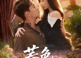 【荞色入林深】70集短剧免费在线高清赏看