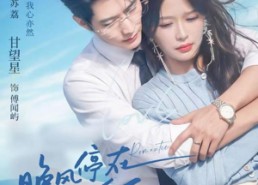 【晚风停在她身后】61集高清短剧在线免费观看