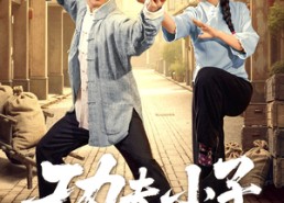 【功夫小子闯佛山】52集免费短剧在线完整看