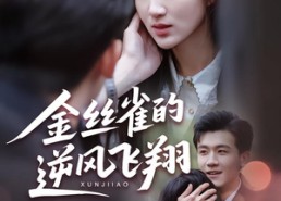 【金丝雀的逆风飞翔】80集短剧全集免费在线播放