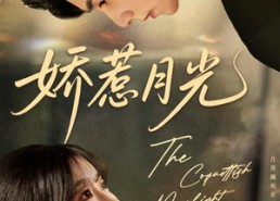 【娇惹月光】60集在线短剧完整观看