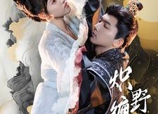 【炽野缠情】95集短剧全集免费在线览