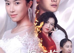 【十嫁九悔】61集免费短剧在线观享