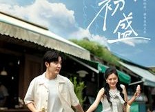 【玉山初盛】80集短剧在线免费速看