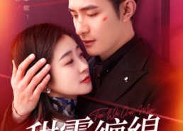 【甜雾缠绵】97集短剧在线免费畅看全集