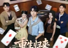 【重生归来掀起赌场风云】82集全集短剧在线免费观览