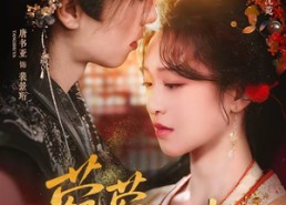 【菀菀错逢春】62集短剧全集免费看无广告