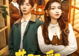 【巷陌暖阳】80集短剧在线观看无广告版