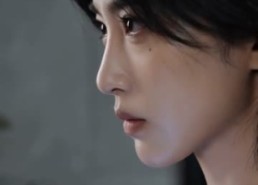 【开到荼蘼，花事终了AI真人版】64集短剧全集在线免费畅享