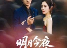 【明月今夜至何乡】70集短剧免费在线观阅