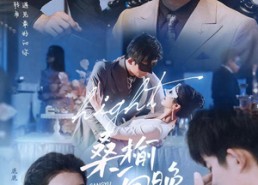 【桑榆向晚】65集免费短剧全集随心看