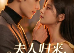 【夫人归来，楼总撑腰】92集短剧免费全集赏映