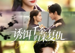 【诱饵千金，归来复仇】67集短剧全集免费观看