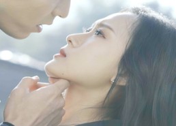 【无尽的爱】84集短剧免费全集云中看