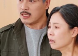 【被全网唾弃后，我偷偷打开直播】60集热门短剧免费畅享观看