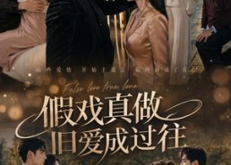 【假戏真做旧爱成过往】60集精彩短剧免费在线览