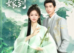 【超萌小医仙嫁到】63集短剧在线免费观全